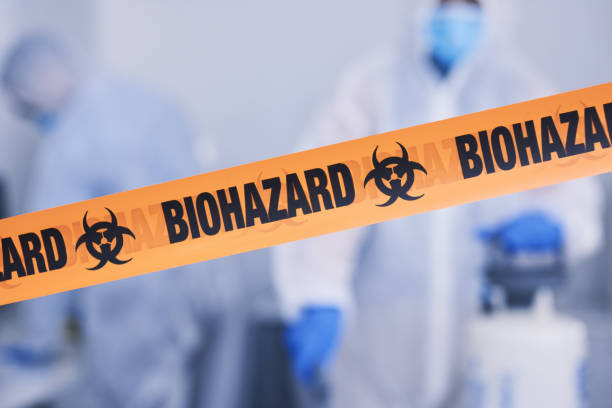 Professional Hoarding Cleanup technician working in Ward, CO